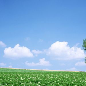 这一生关于你的风景