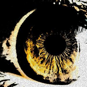 ย่างไก่