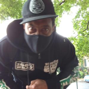 Definition Of Premeditated