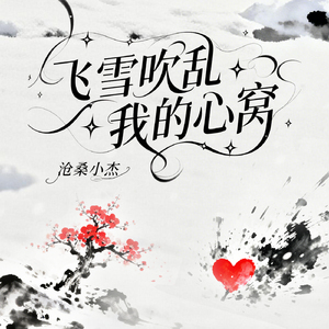 飞雪吹乱我的心窝(谁能真心把你陪DJ)