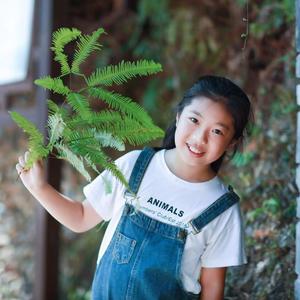 红色蜻蜓—陈婕睿/八音盒艺术