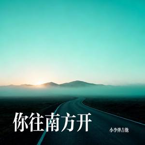 你往南方开
