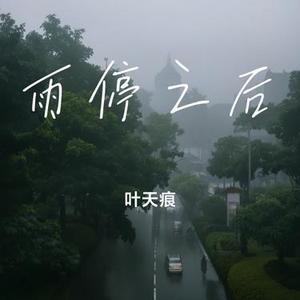 雨停之后