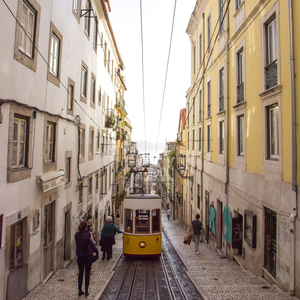 발걸음이 닿는 곳으로