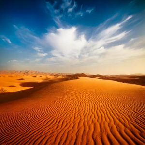 condolence (그리움)