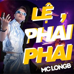 LỆ PHẢI PHAI（HO REMIX）