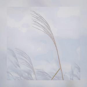 高山流水（轻音乐）