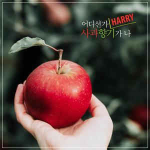 어디선가 사과 향기가 나