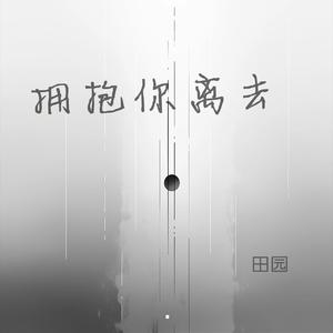 拥抱你离去 (DJ沈念版)