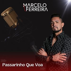 Passarinho Que Voa