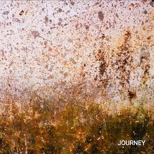 迷雾森林-王庆敏