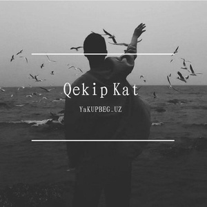 Qikep kat