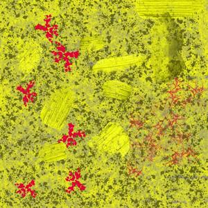 Sopraggiunge l'istante