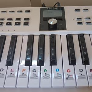 Track 2