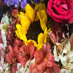 Honeydew Piano