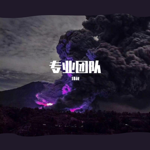 Tony Igy-专业团队 (Revision)（10叔 remix）