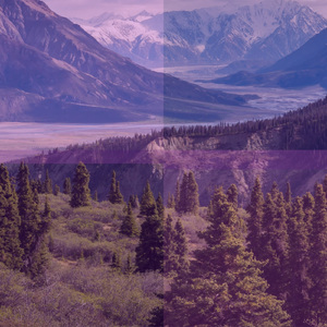 Relaxed Focus (Meditation)