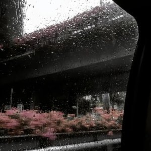 再无我们(失去的爱情)