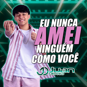 Eu Nunca Amei Ninguém Como Você