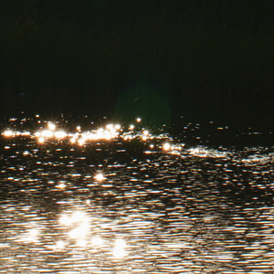 2월에 건네는 노래