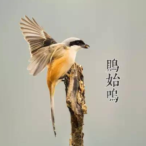 绚烂落下一片片