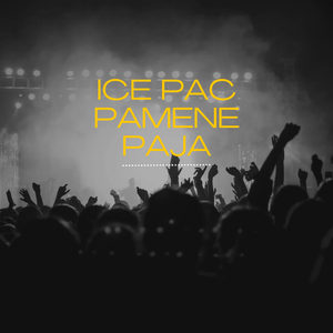 Pamene paja