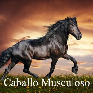 Caballo Musculoso