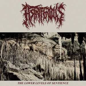Myriad Of Grotesquerie