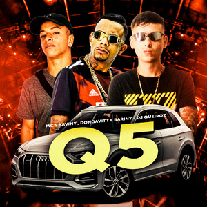 Q5