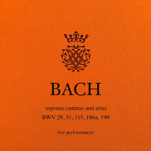 Ärgre dich, o Seele, nicht, BWV186a: IV. Die Armen will der Herr umarmen (Live)
