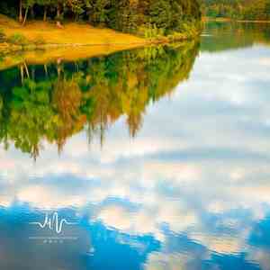 麯意風華 (古乐茶馆萧)