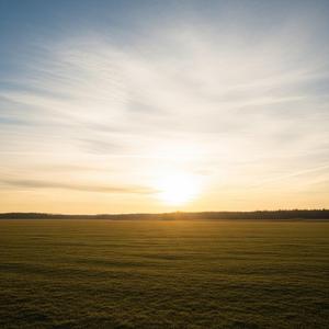 당신 곁에 선 자리