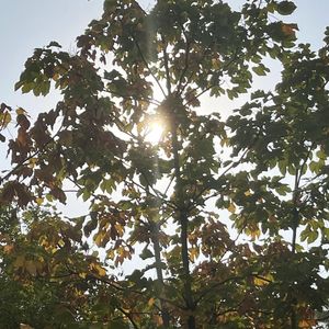 朋友（prod by Lyoung)