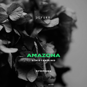 Moonboy (Original Mix)