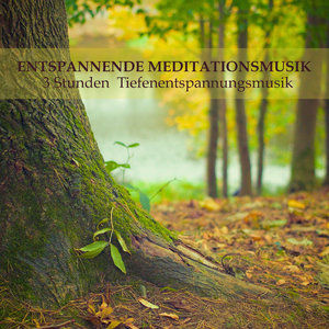 Meditationsmusik aus Osten (Flötenmusik und Beruhigende Klänge)