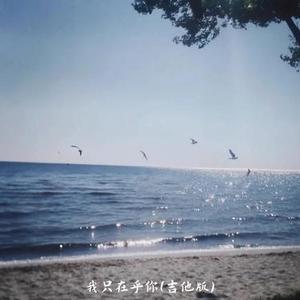 我只在乎你 (吉他版)