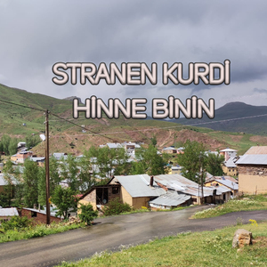 Hinne Binin