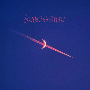 Spaceship（Prod by Euro)