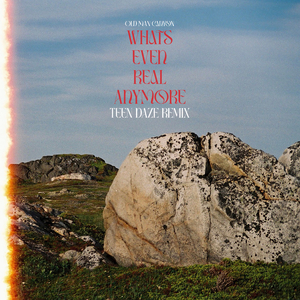 What's Even Real Anymore (Remix)