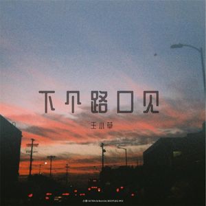 王小草 - 下个路口见（小博SE7EN / Bonnie宝妮 Bootleg）