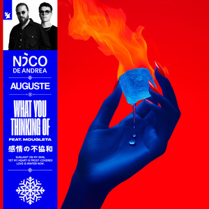 What You Thinking Of (Extended Mix)