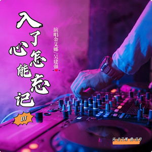 入了心怎能忘记 (DJ伟然版)