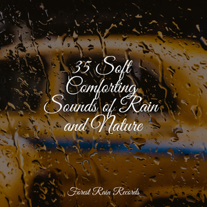 Beach, Far, Waves, Birds, Wind