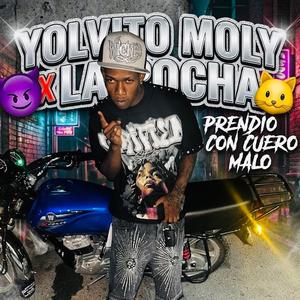 Yolvito Moly La Pocha