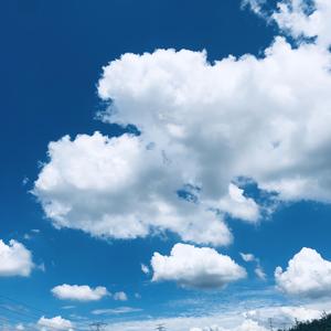 杀死那个石家庄人