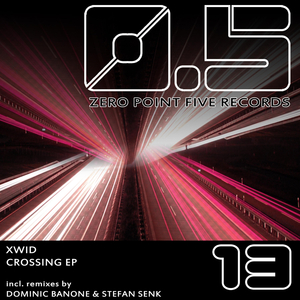 Xtasy (Dominic Banone Remix)