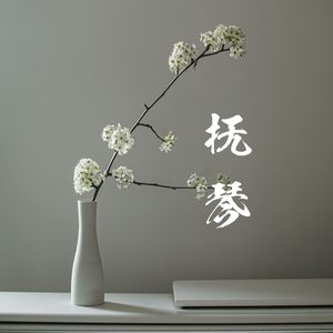 抚琴
