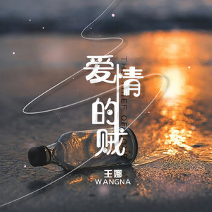 爱情的贼 (DJ默涵版)