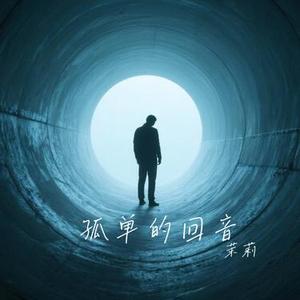 孤单的回音