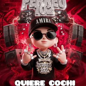 QUIERE COCHI